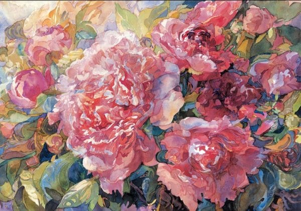 VariationsInPink Zapp