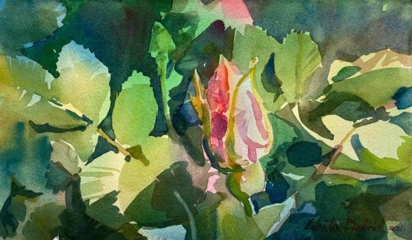 Simple Variations are Expressive