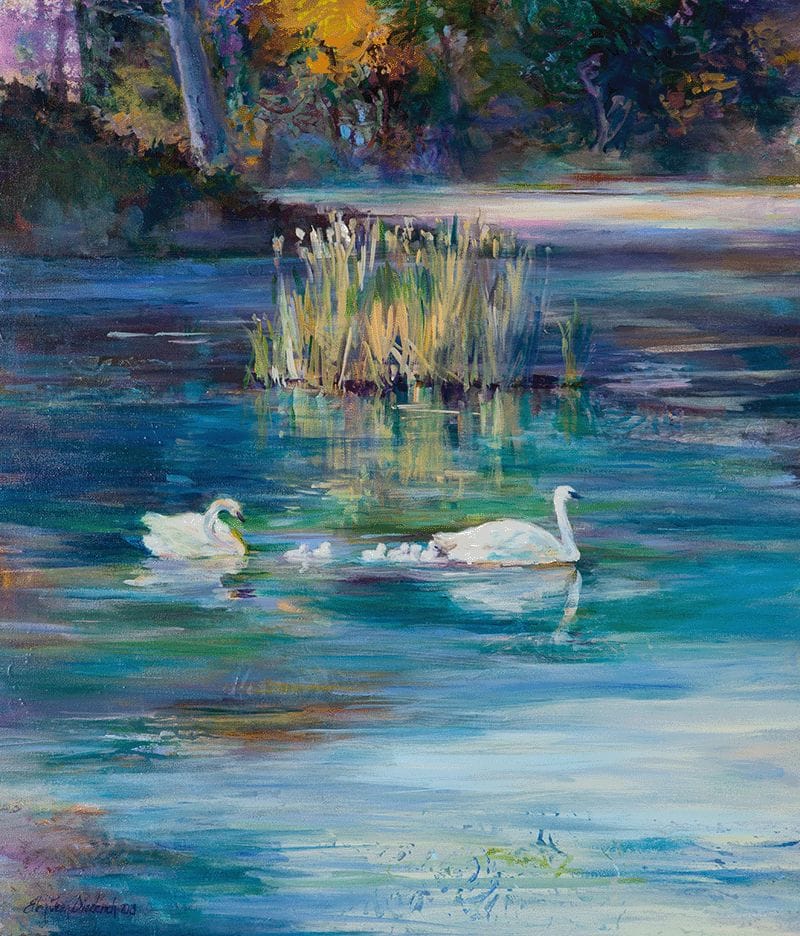 Safe Haven 72dpi Stamping